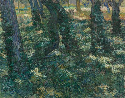 Undergrowth by Vincent van Gogh